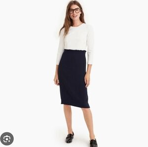 J CREW 365Office Interview Dress To Impress Navy And White Zip Back Dress Size 8